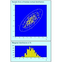 Random sample from a bivariate normal distribution