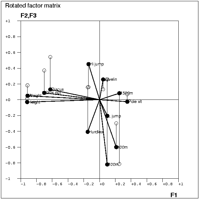 Rotated factor matrix