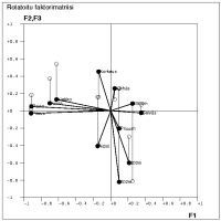 Rotatoitu faktorimatriisi hajontakuvana