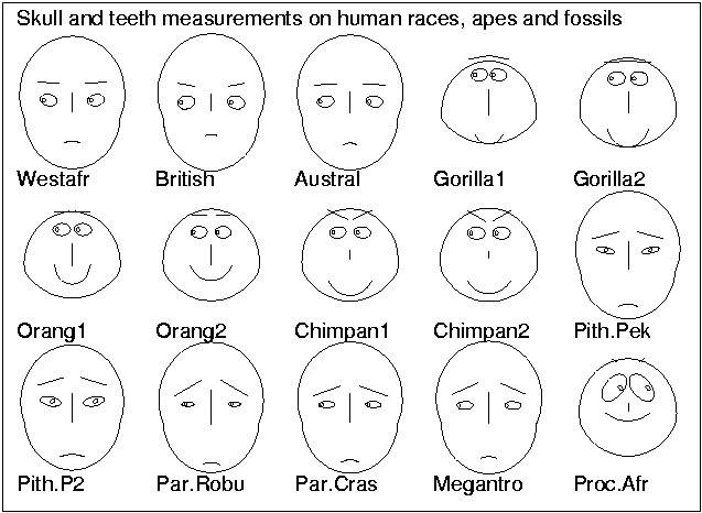 Chernoff's faces