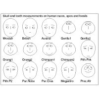Multivariate diagrams; Chernoff's faces