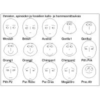 Usean muuttujan diagrammeja; Chernoffin naamat