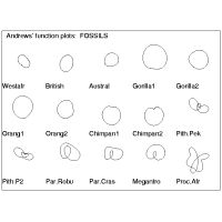 Usean muuttujan diagrammeja; Andrewsin kyrt napakoordinaatistossa