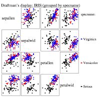 Grouped scatterplot matrix of the Iris data